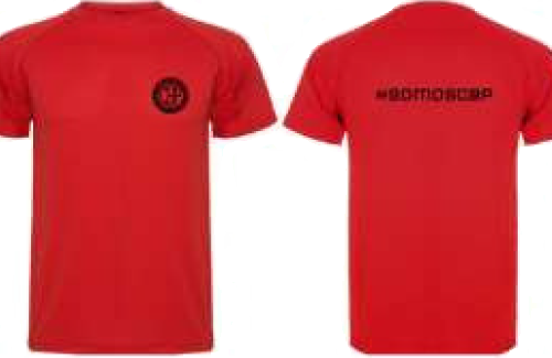 Camiseta grada «FAN»